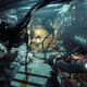 Prey | $20 - PS4 | Xbox One | PC